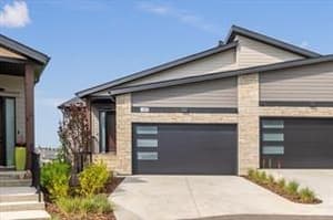47 Royal Birch
