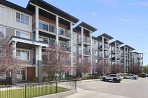 10 Walgrove