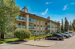 393 Patterson