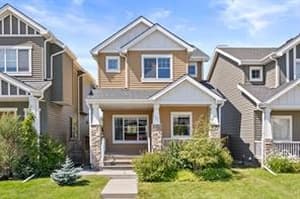 20 Royal Birch