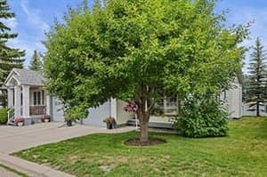 10 Douglasview
