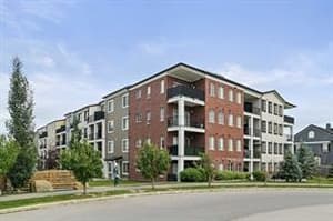 151 Legacy Main