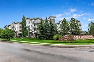 10 Auburn Bay