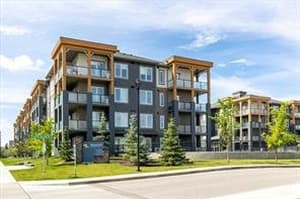 100 Auburn Meadows
