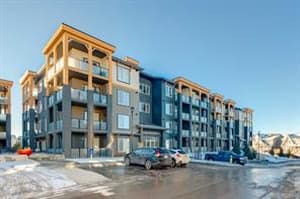 300 Auburn Meadows