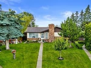 12 Whiteland