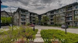 11 Mahogany