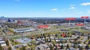 11741 Canfield