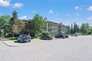 393 Patterson