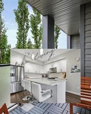 300 Auburn Meadows
