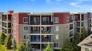 15 Saddlestone