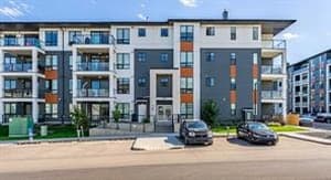 15 Sage Meadows