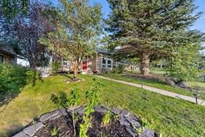 51 Bearberry