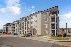 151 Legacy Main