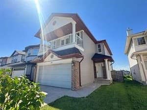 244 Taralake