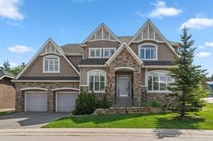15 Spring Willow