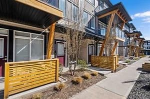 153 Savanna