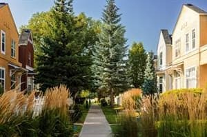 232 Mckenzie Towne