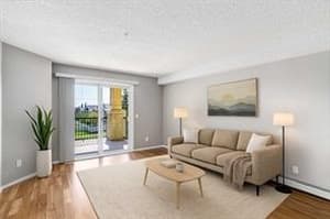 8810 Royal Birch