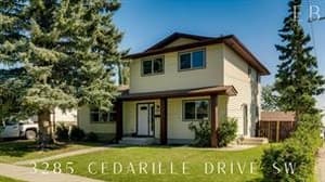 3285 Cedarille