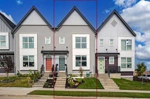244 Livingston