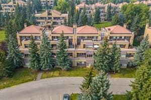 207 Village