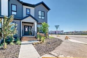 8 silverton glen