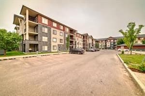 81 Legacy