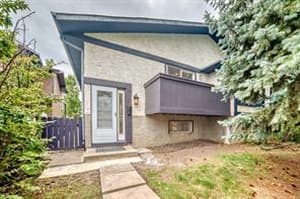 81 Bearberry