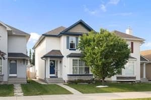 35 Royal Birch