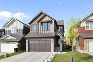 53 Savanna