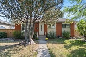 1989 Cottonwood