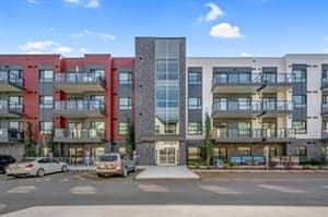 20295 Seton