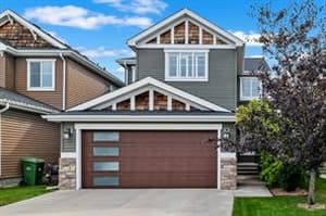 13 Royal Birch
