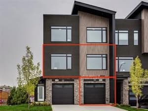 261 Royal Elm