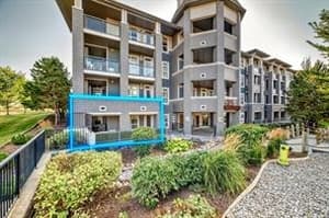 25 Auburn Meadows