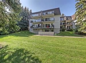 332 Cedar