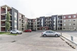 15 Saddlestone
