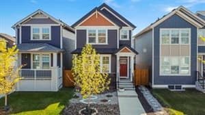231 Lavender