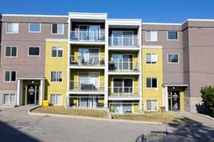 4455D Greenview