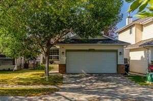 13721 Mount McKenzie