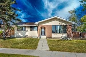 4932 Whitehorn
