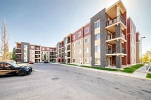 15 Saddlestone