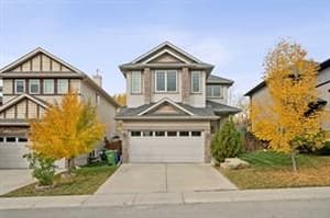 65 Royal Birch