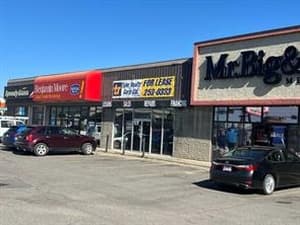10206 Macleod
