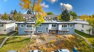 808 Mcneill