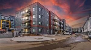 20295 Seton