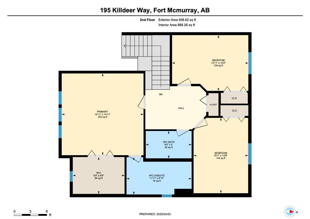 195 Killdeer - Thumbnail 8