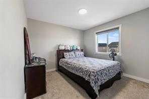 183 saddleback - Thumbnail 8