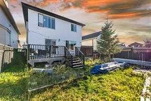 183 saddleback - Thumbnail 5
